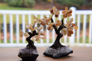 Gemstone Bonsai Tree