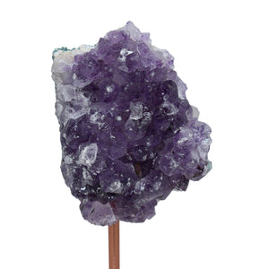 Amethyst Druzy on Pin Stands